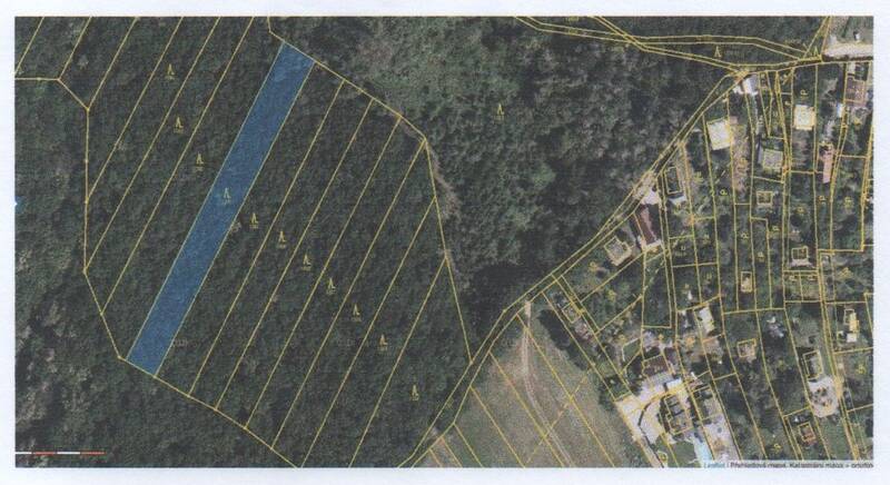 Prodej lesního pozemku o rozloze 2 319 m2, Žebětín, Brno
