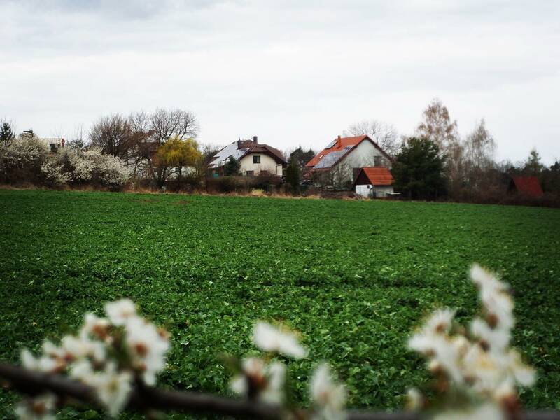 Prodej stavební parcely o rozloze 1 607 m2, obec Chotěnice, Heřmanův Městec