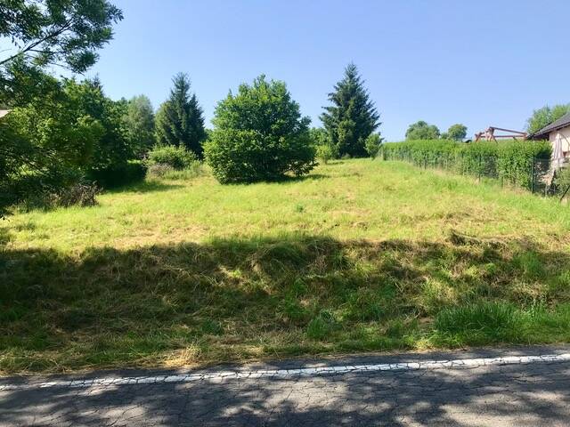 Prodej stavebního pozemku o rozloze 1 374 m2, obec Řepová, Mohelnice, okres Šumperk